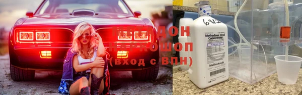 индика Гусев