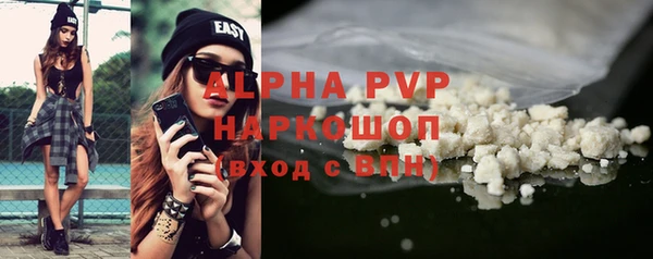 винт Горно-Алтайск