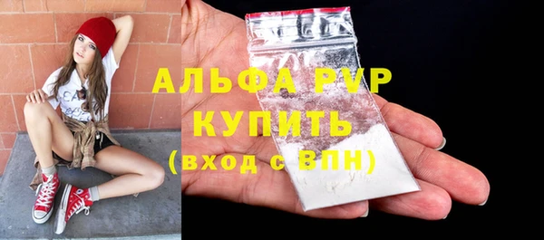 винт Горно-Алтайск
