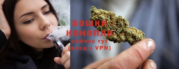 винт Горно-Алтайск