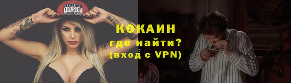 индика Гусев