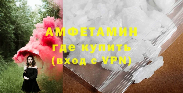 индика Гусев