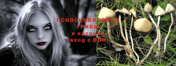 эйфоретик Горнозаводск