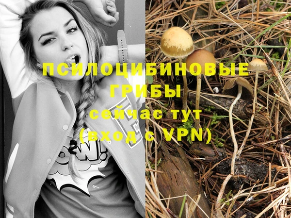 винт Горно-Алтайск