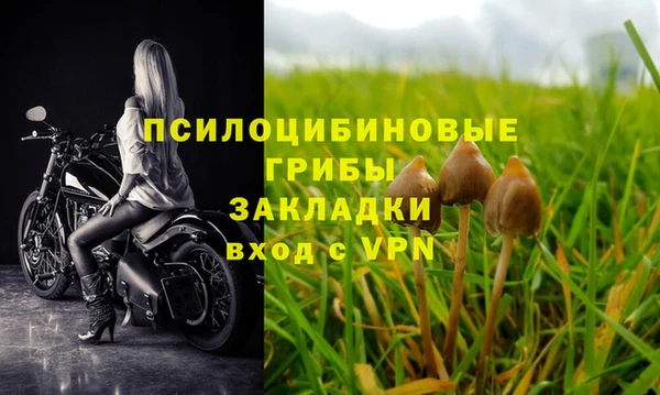 эйфоретик Горнозаводск