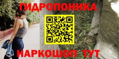 прущая мука Гусев