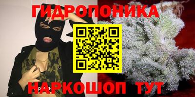прущая мука Гусев