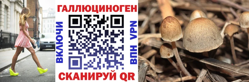 Галлюциногенные грибы прущие грибы  Минеральные Воды 