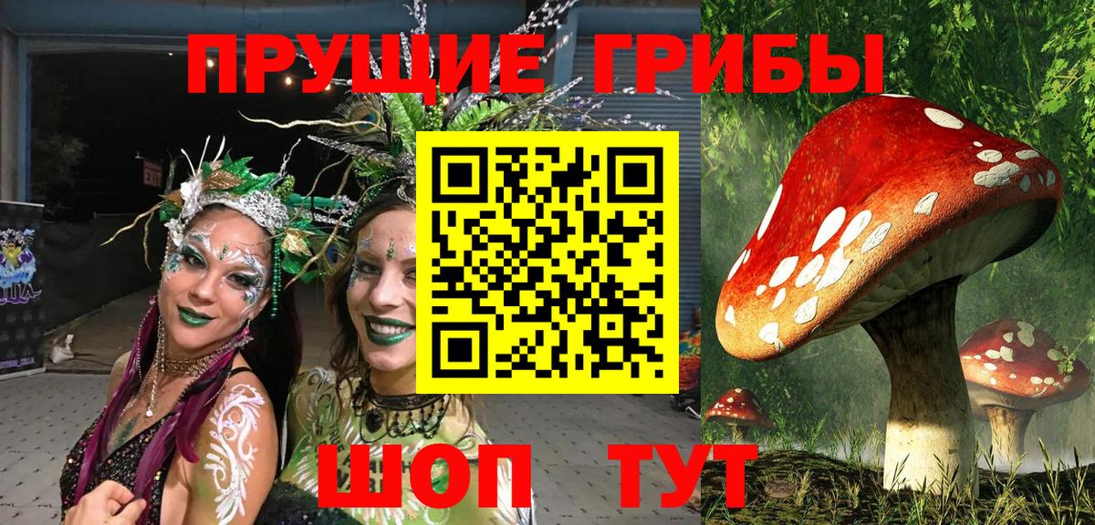 Минеральные Воды  Галлюциногенные грибы Psilocybine cubensis  Псилоцибиновые грибы мухоморы  Вход с VPN 
