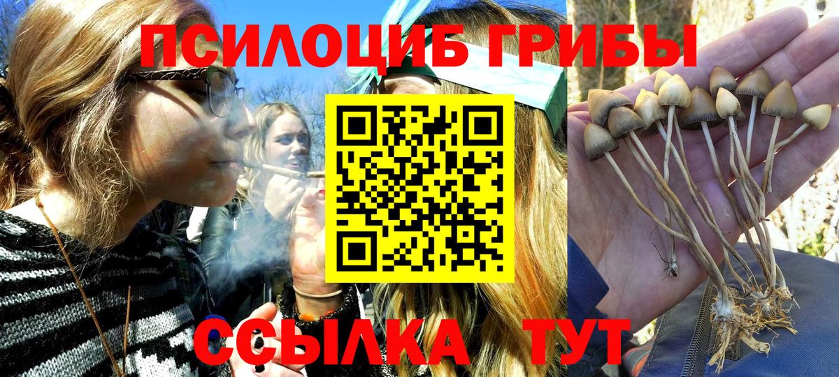 Галлюциногенные грибы прущие грибы  Минеральные Воды 