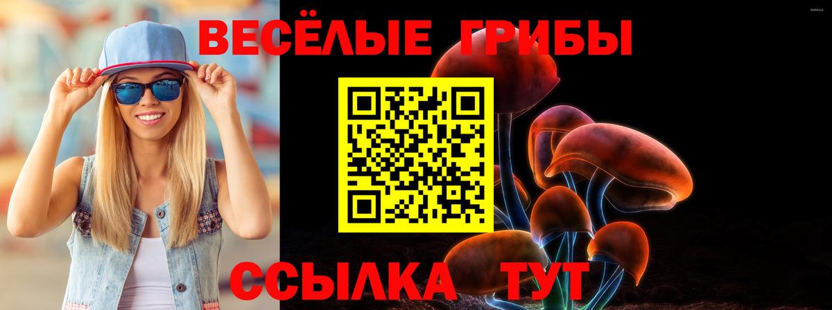 Псилоцибиновые грибы мухоморы Минеральные Воды